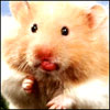 erajonywu's Avatar