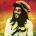 chiefnerve5's Avatar