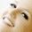 departsubmit8's Avatar